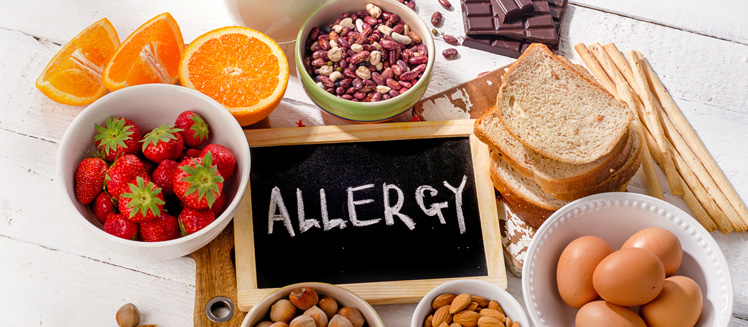 En alerjen 8 besin nedir?